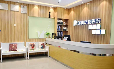 新瑞鹏医疗连锁