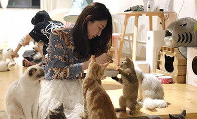 猫咖&时光