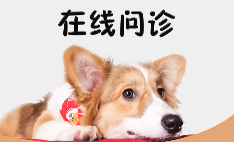 在线问诊服务